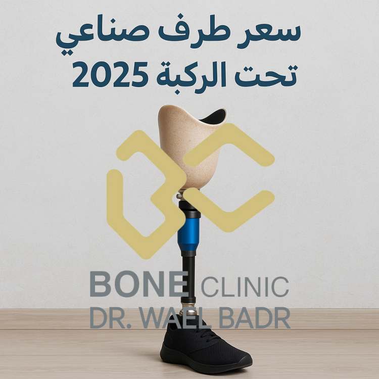 2025 2025